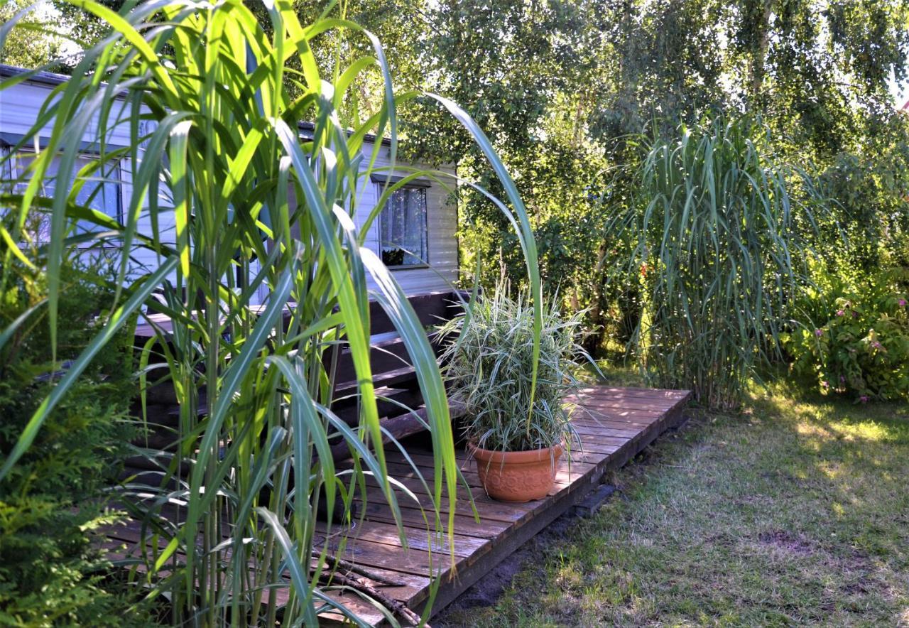 Domki Holenderskie ,, Latajacy Holender" Dębki Exterior foto